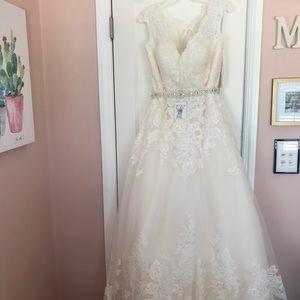 David’s Bridal Wedding Gown size 14 BNWT